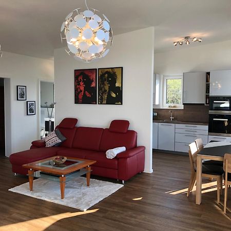 A&N Prestige Apartments "Attika" Close To Basel And Rhine River غرنزاش ويلن المظهر الخارجي الصورة